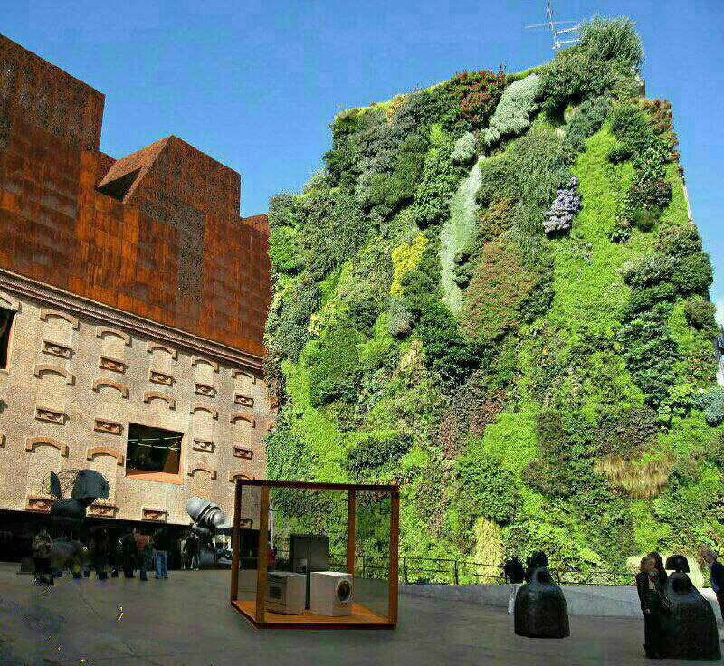 باغچه عمودی در شهر مادرید اسپانیا